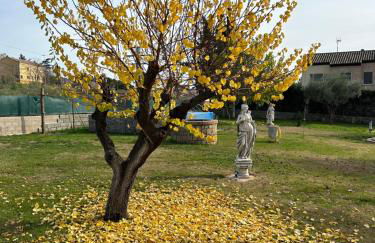 Sueña TOLEDO - Foto 9