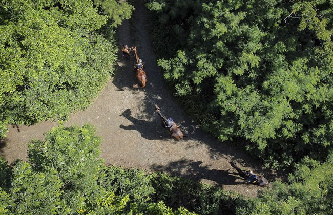 Eco Park Inn - Foto 24