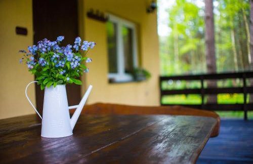 Kurort Mirowice-domek w lesie, z balią z jacuzzi i hydromasażem - Foto 20