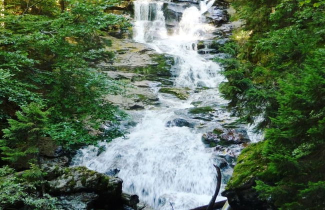 Holiday Apartment Breit - Foto 5