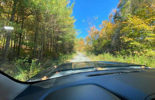 Cabin on the hill Ascutney - Foto 20