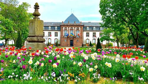 Charmant studio à Haguenau, à 25mn de Strasbourg - Photo 1