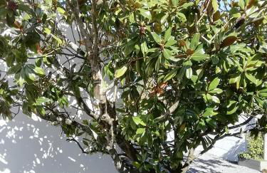 Challans studio - Foto 9