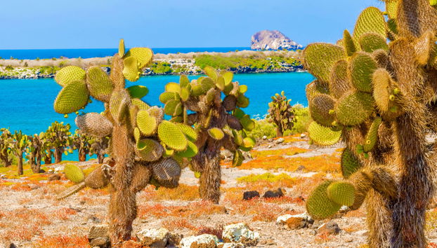 Galapagos Airport Transfer