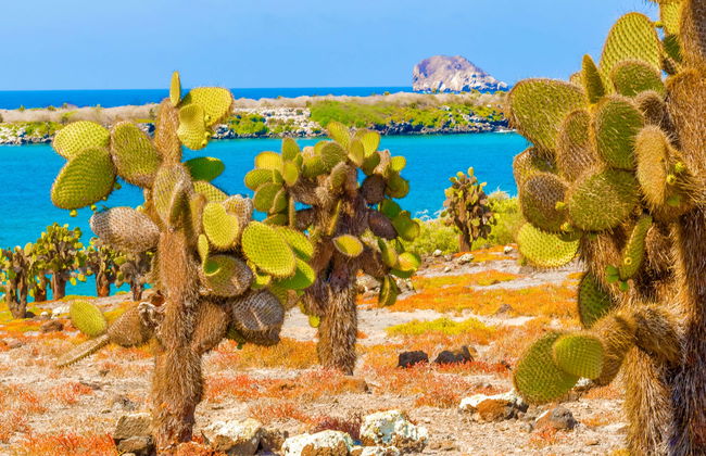 Galapagos Airport Transfer - Photo 5