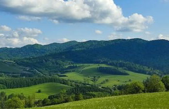 Bieszczady Żubrowe Wzgórze 785-049-543 - Foto 67