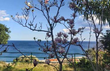 Villa Velika GR - Foto 25