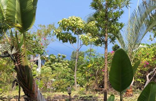 The Pineapple Express Hot Tub Volcano 65 Mi Away - Foto 10