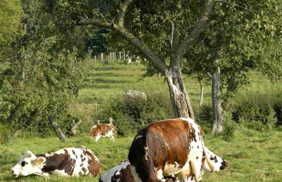 Gîte Insolite Les Tonneaux Sa vue Magnifique et Panoramique - Foto 20