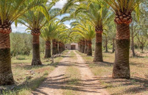 Villa S'erisal - Foto 27