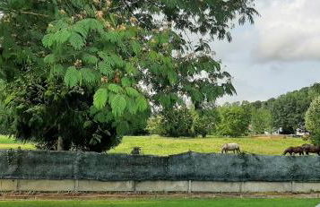 Maison familiale à Gerde - Foto 18