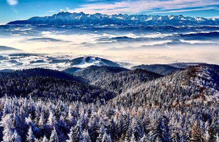 Willa Jagoda duży domek w górach 12-15 osób,jacuzzi, kominek,bilard - Foto 37