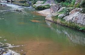 Parati Pousada kadoshi - Foto 43