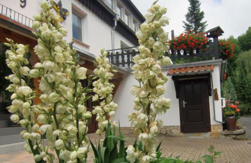 Ferienhaus Haus am Wald - Foto 12