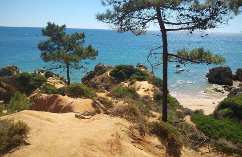 Appartement 2 chambre à 500m de la plage - Foto 20