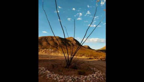 StarGazer Hidaway - Photo 4