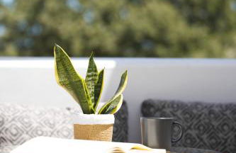 Apademia Skyros Luxury Residences - Photo 34