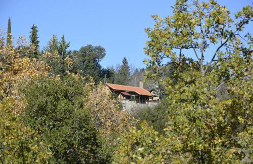 Βίγλα 1970 - Foto 17