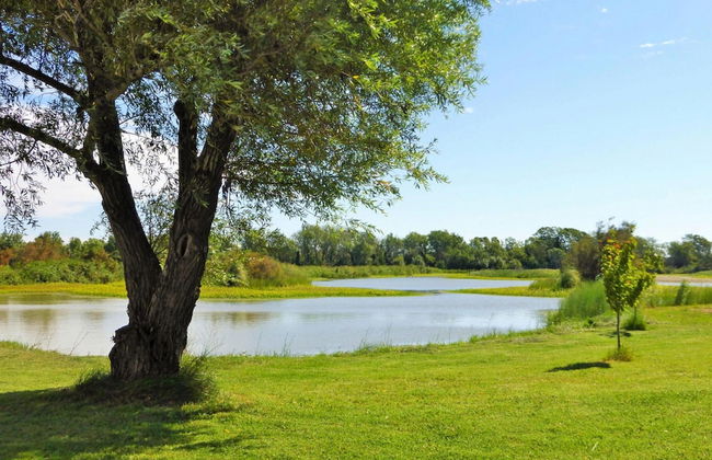 Single Storey Holiday Home With Swimming Pool - Foto 12