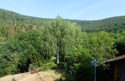 Ferienwohnungen Tannenhof - Foto 6