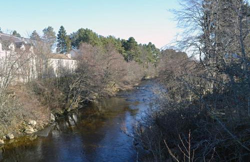 Tall Pines - Foto 18