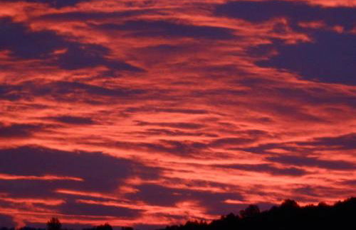 Agriturismo La Casa Nei Boschi - Foto 69