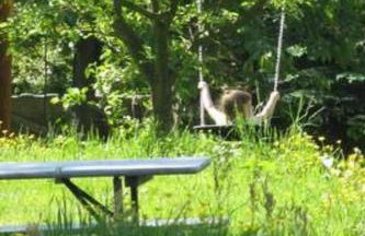 Holiday Home Blockhaus in Gajówka mit Kaminofen by Interhome - Foto 25