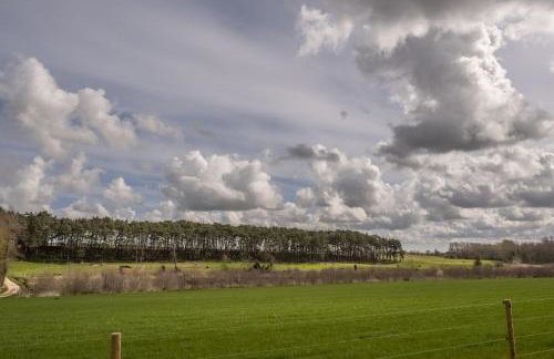 Wild Meadow Barn - Foto 65