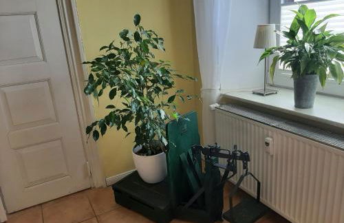 Schöne Ferienwohnung Im alten Gasthaus in Stoltebüll - Foto 21
