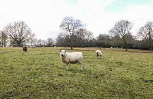 Park View Lodge - Foto 22