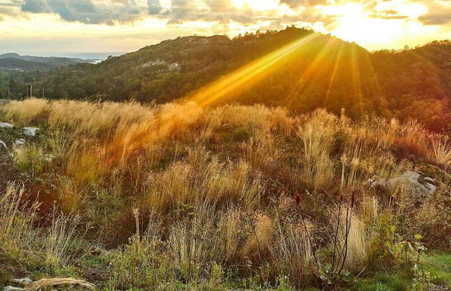 Holiday Home in Lyngdal - Foto 30