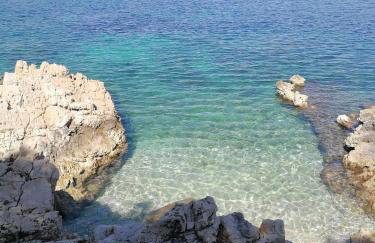 HOUSE Kod dide - Foto 3