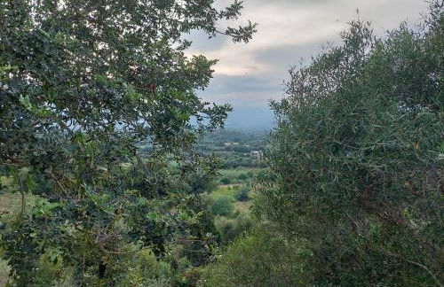 Inteserras - Foto 17