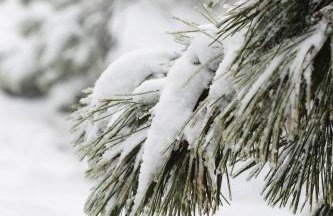 Casa do Forno FR - Foto 78