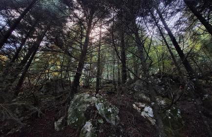 Wood Cabins by the River - for Nature Lovers - Photo 67