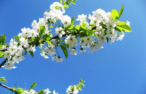 Wohlfühlen in Wiehl - Drabenderhöhe - Foto 15