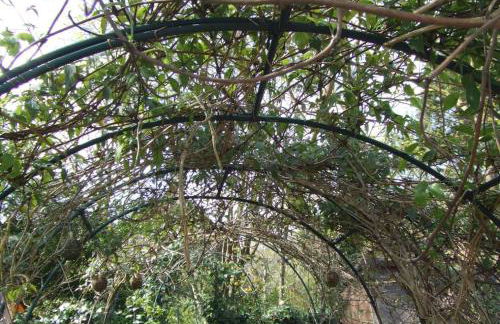 Queens Road Rental - Winchester Accommodation - Foto 60