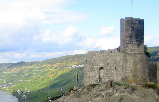 Holiday Apartment "mosel & Umzu" - Photo 23