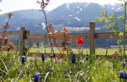 CASA YARA - 3 camere, 2 bagni, parcheggio Dolomiti Affitti - Foto 28