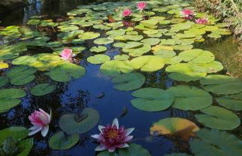 Filoxenia Olive Garden luxury villas and suites - Foto 64