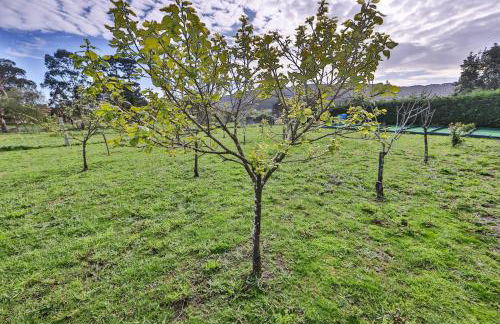 Cabañas de Mallas - Foto 39