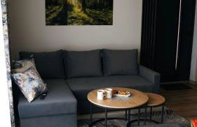 Domki Leśne Zacisze - Foto 33