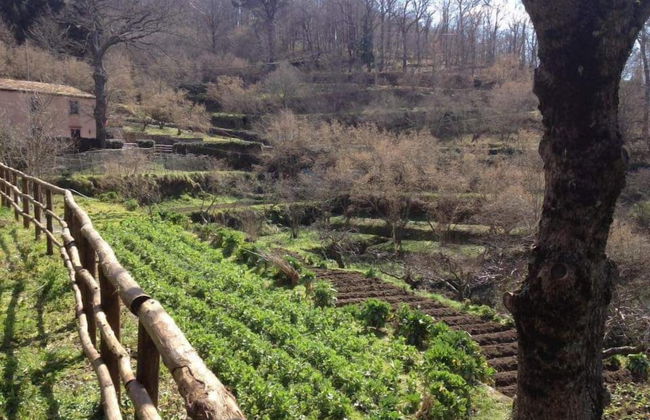 Agriturismo Valle Maira - Foto 25