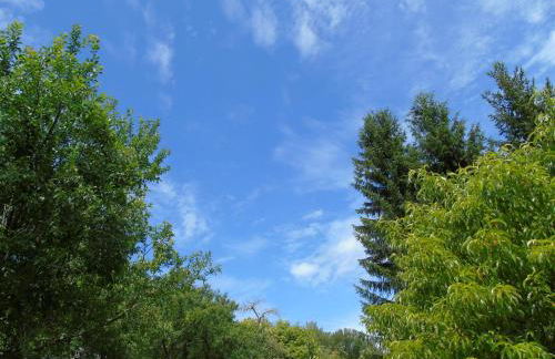Maison L'Hirondelle Rustique à Tournavaux - Foto 42