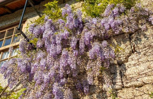 Casa da Eira "Lavoura da Bouça - Fruta Bio" - Foto 62