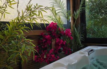 Balisier Maison Jacuzzi luxe privatif à 15min de Disneyland Paris - Foto 19