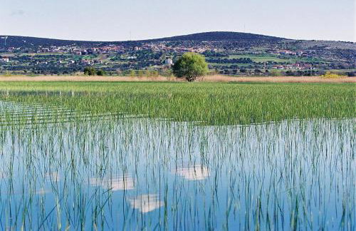 Apartman MIRA - Foto 14