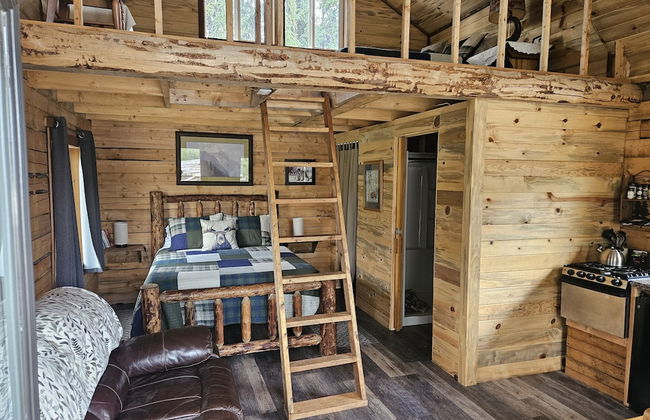 Avens Alaska - Foto 8