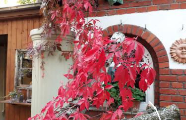 Apartment Zeitreise - Foto 35