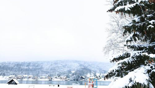 Vila Kosjenka on lake Sabljaci - Foto 4